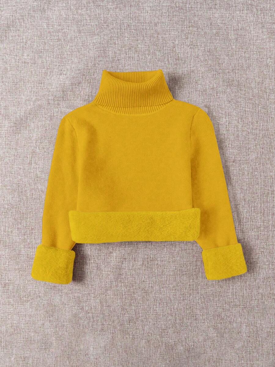 Franclia Dames Hoge Hals Effen Kleur Lange Mouw Casual Trui Met Thermische Voering, Herfst/Winter, Lange Mouw Tops