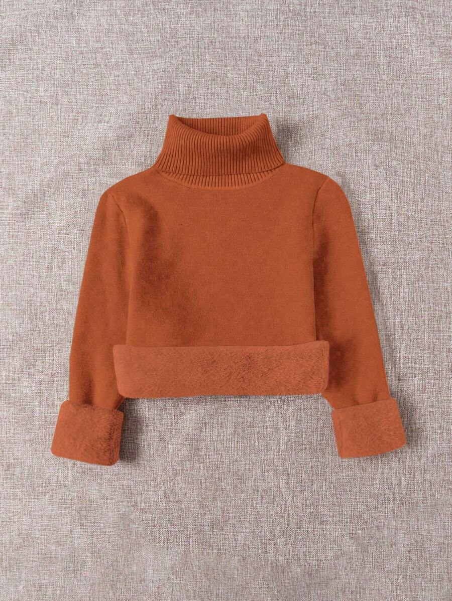 Franclia Dames Hoge Hals Effen Kleur Lange Mouw Casual Trui Met Thermische Voering, Herfst/Winter, Lange Mouw Tops