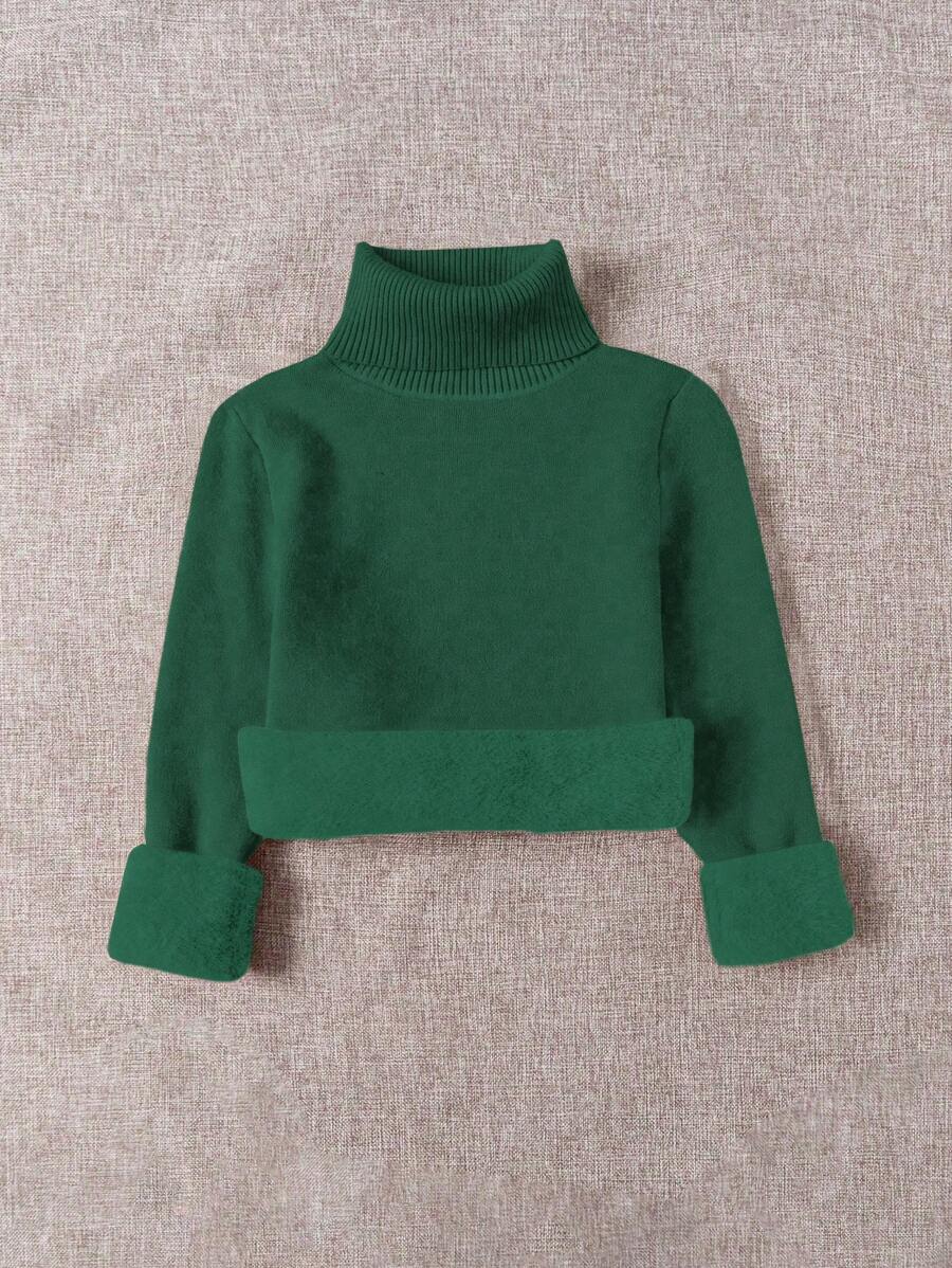 Franclia Dames Hoge Hals Effen Kleur Lange Mouw Casual Trui Met Thermische Voering, Herfst/Winter, Lange Mouw Tops