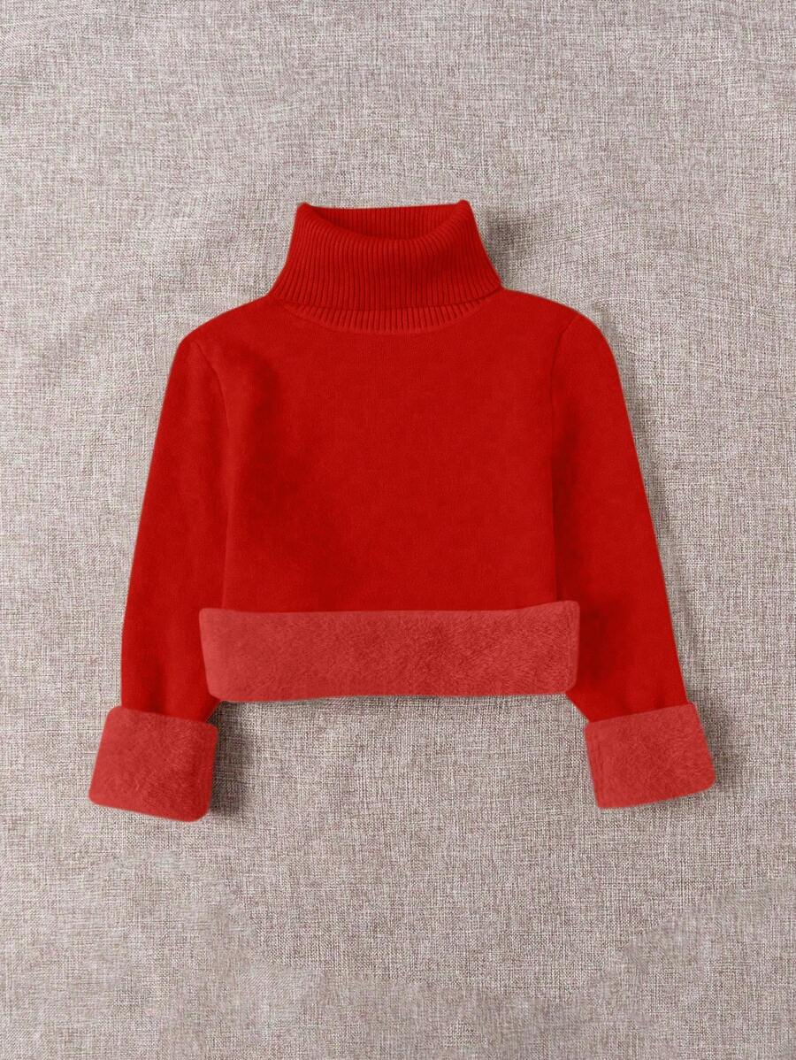 Franclia Dames Hoge Hals Effen Kleur Lange Mouw Casual Trui Met Thermische Voering, Herfst/Winter, Lange Mouw Tops