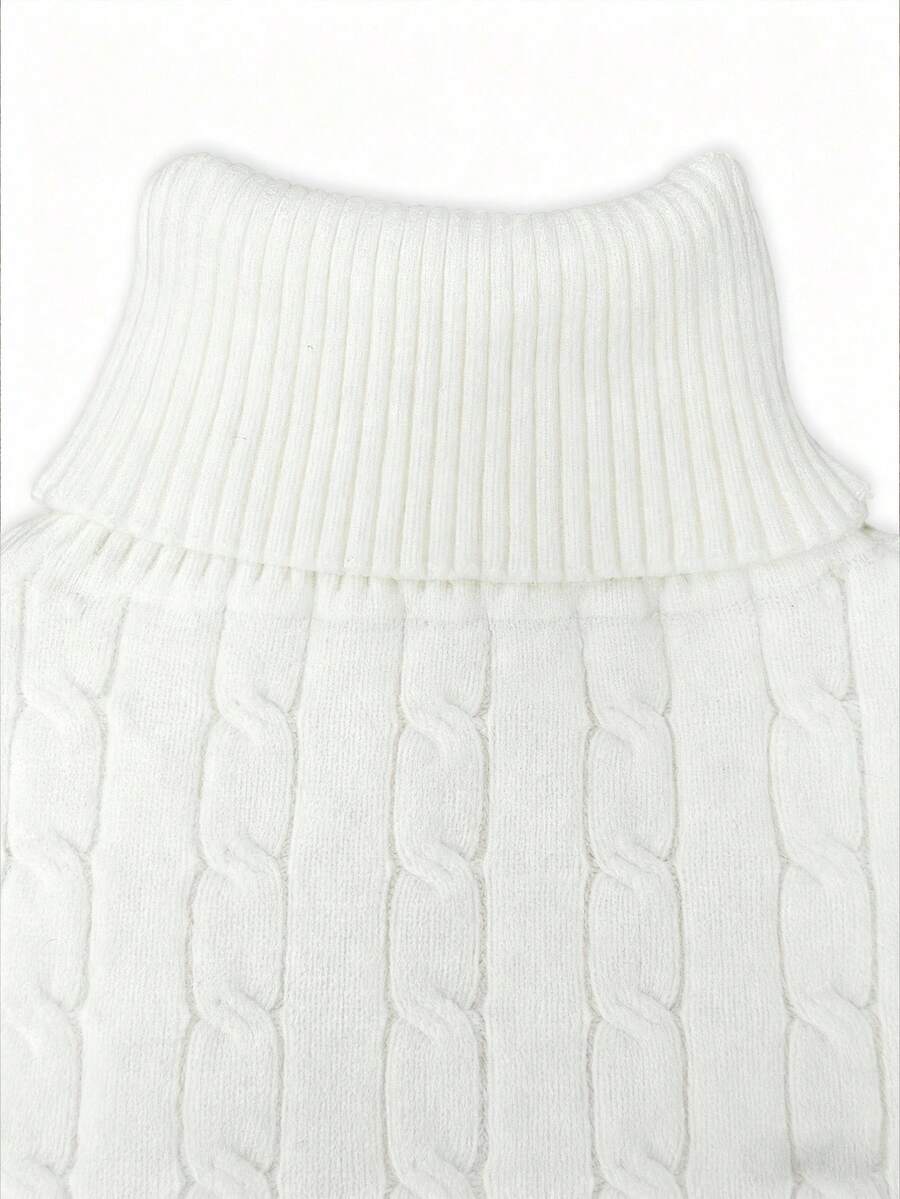 Franclia Dames Hoge Hals Effen Kleur Lange Mouw Casual Trui Met Thermische Voering, Herfst/Winter, Lange Mouw Tops